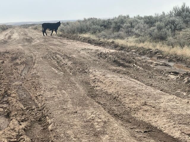 Three Fork Roads