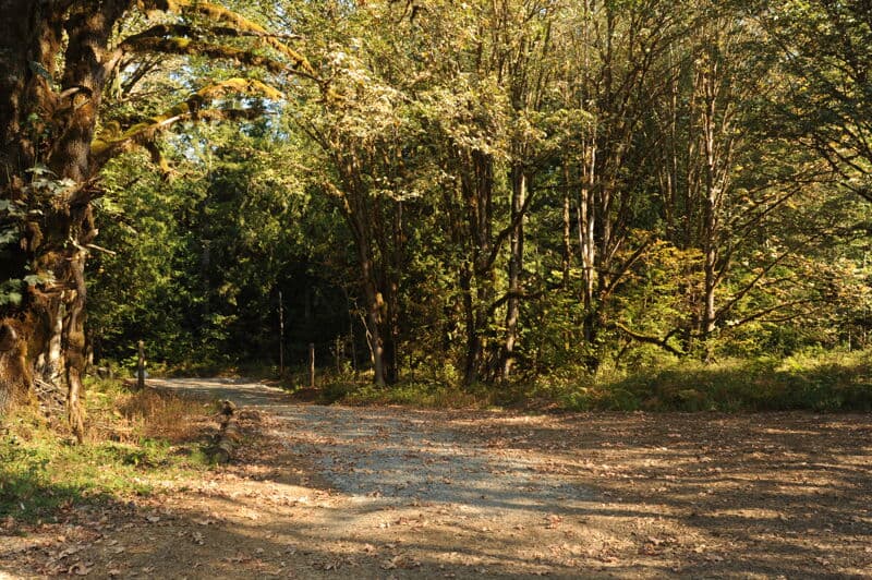 Maple Creek Access