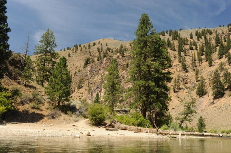 Whitie Cox Camp (RR)