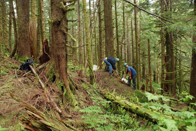Construction of the Trail
