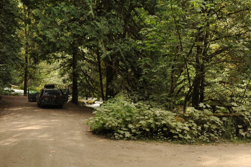 Forest Road 2880 Bridge Take-Out