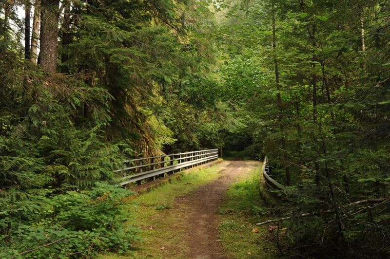 Gold Creek Trailhead Put-In