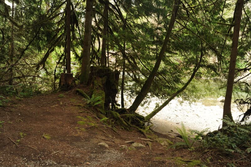 Money Creek Campground Day-Use Area