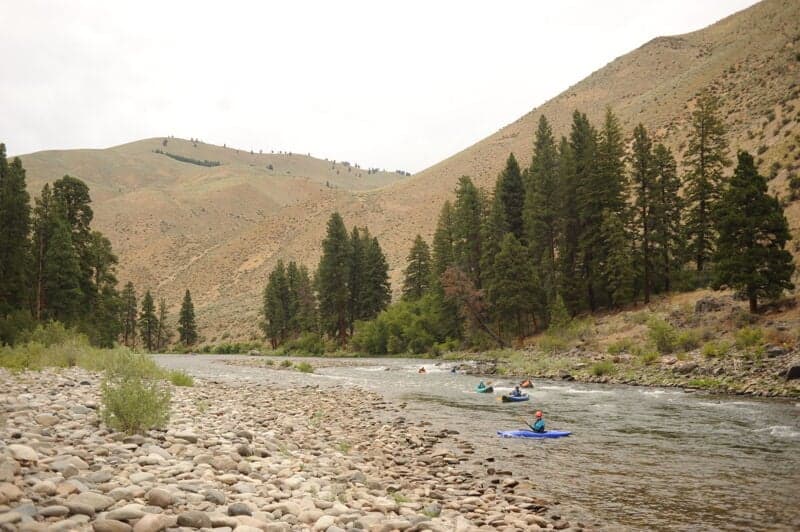 Jackass Rapid