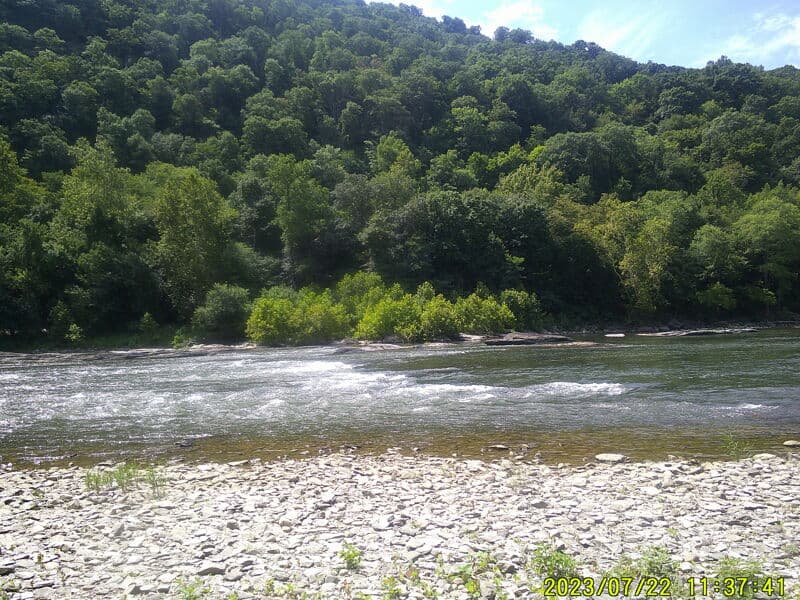 Mini Skook rapid; level: millville 1.85