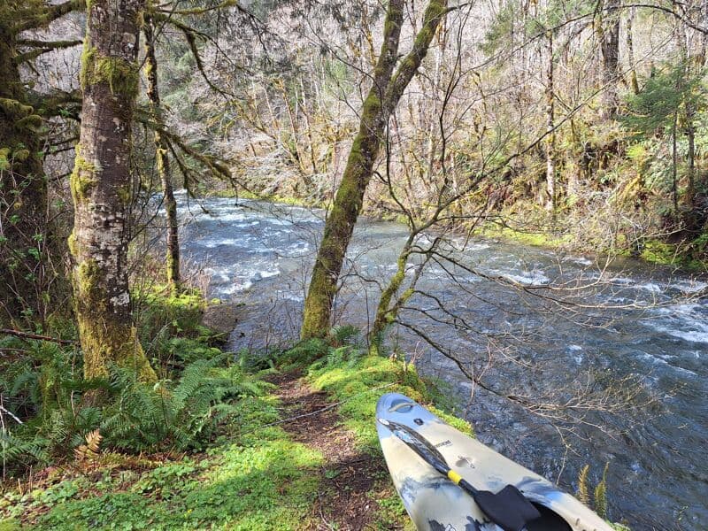 Kilchis Gorge