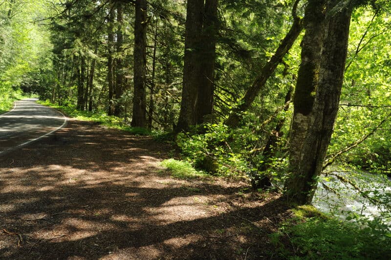 Forest Road 67 Put-In