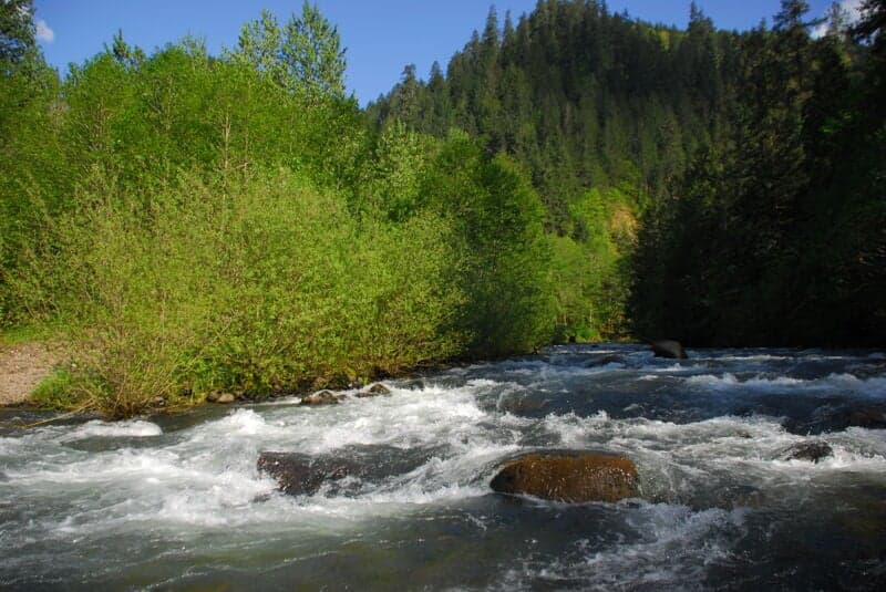 Evening Run on Fish Creek