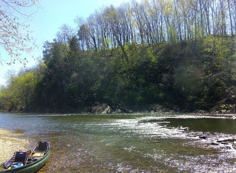 Monocacy River Bluebells trip, April 11, 2026