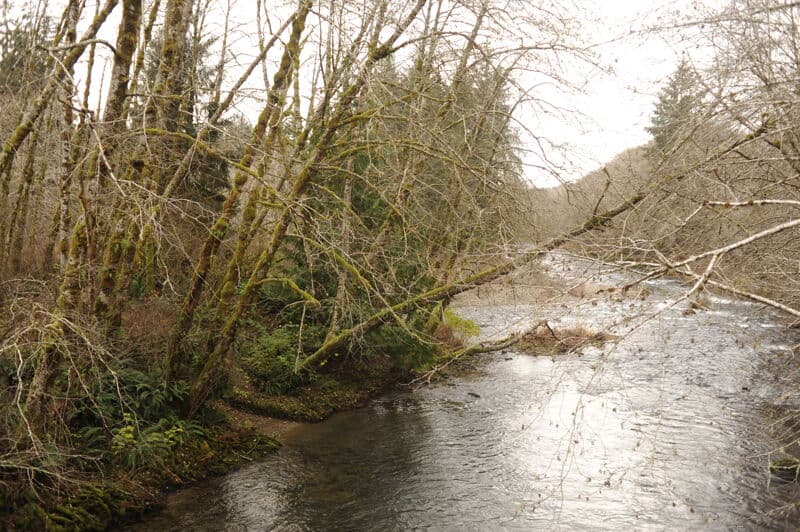 North Fork Confluence