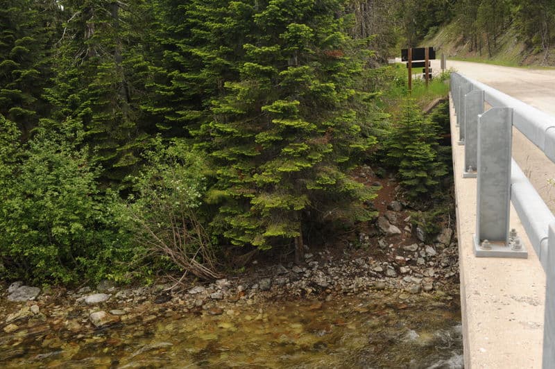 Elk Summit Road Bridge Take-Out