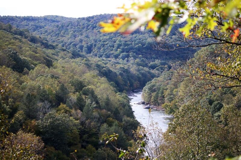 Chestnut Ridge Gorge