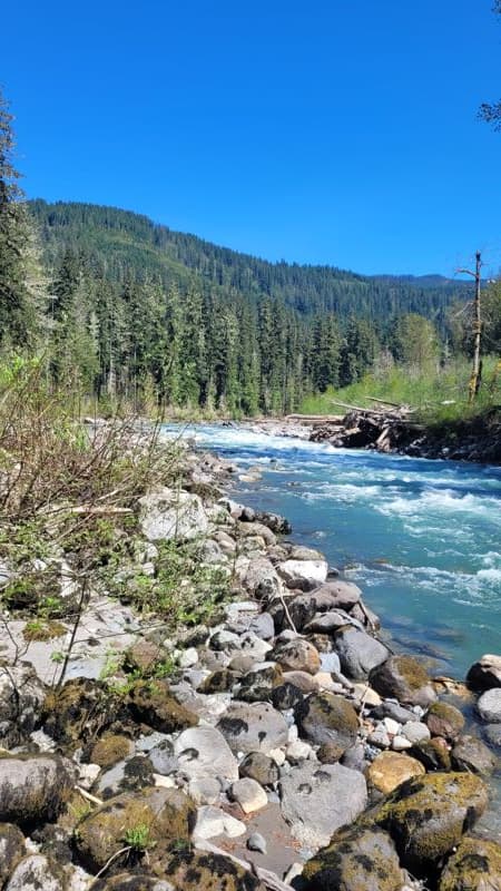 Whirlpool Log Update