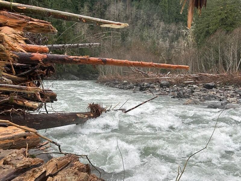 Wood Report (Whirlpool Rapid)