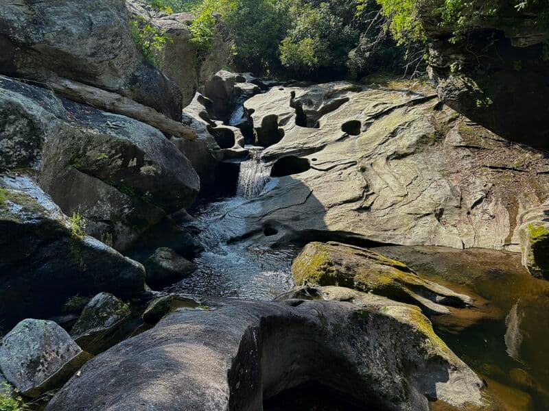 Bonas Defeat Gorge