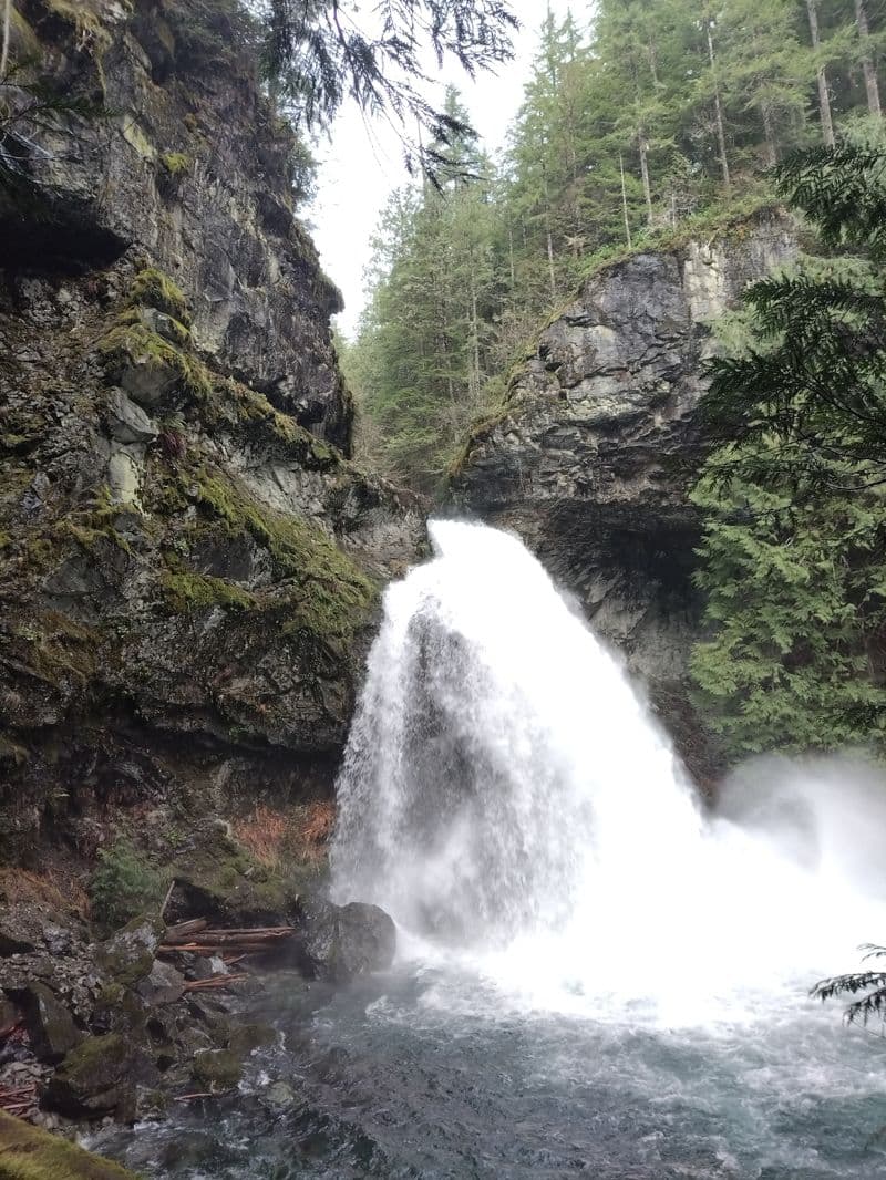 Trip report photo
