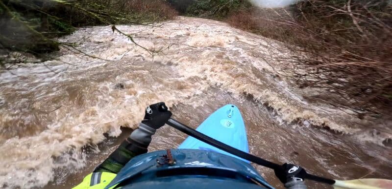 Many ledges and woody rapids
