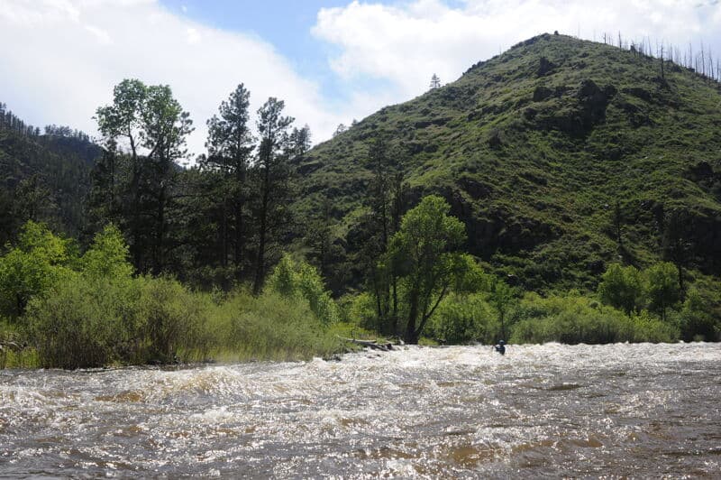 360 Rapid