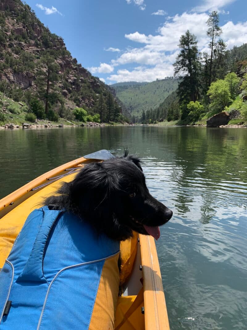 Awesome little stretch of river!