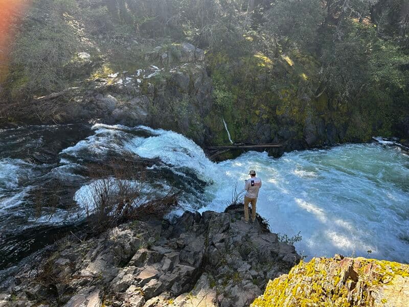 Pauley Fall