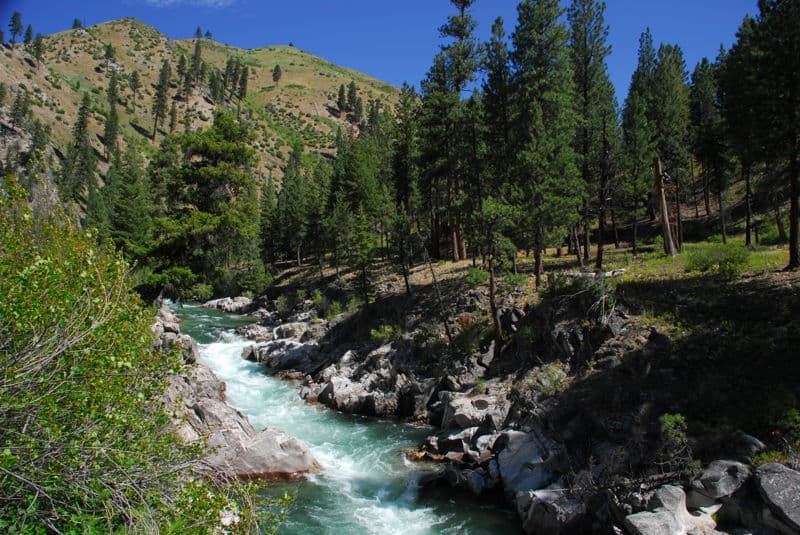 "Wake up" gorge