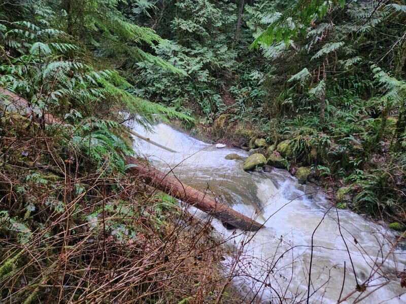 Tumbling Water Cascades