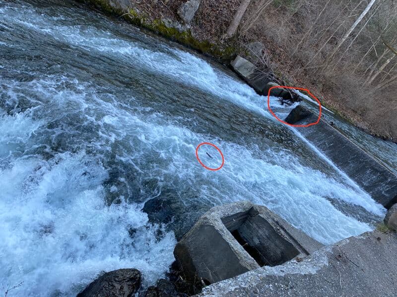 Low water run of Keula