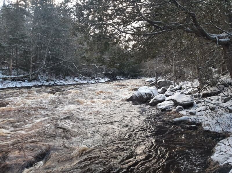 Rapids bellow road 105