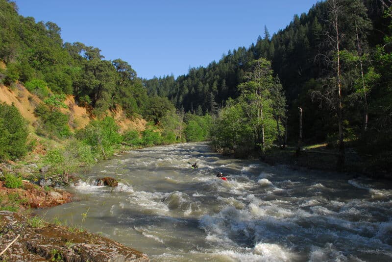 Unnamed Rapid