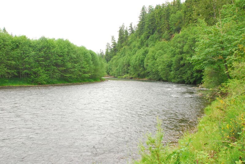 Nisqually Watershed Council Access Tour