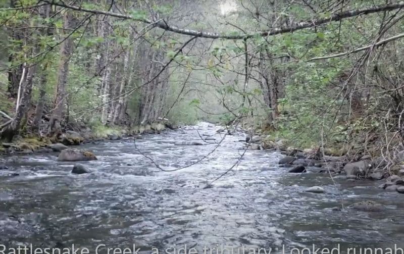 Rattlesnake Creek Confluence