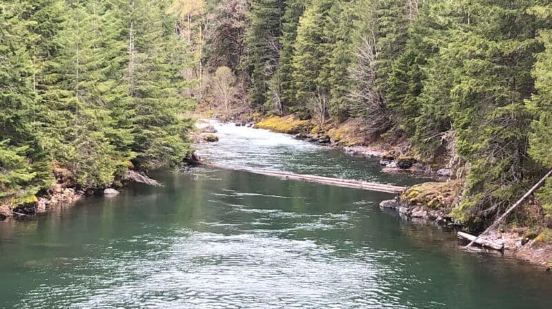 Perfect Spring Snow Melt Flows