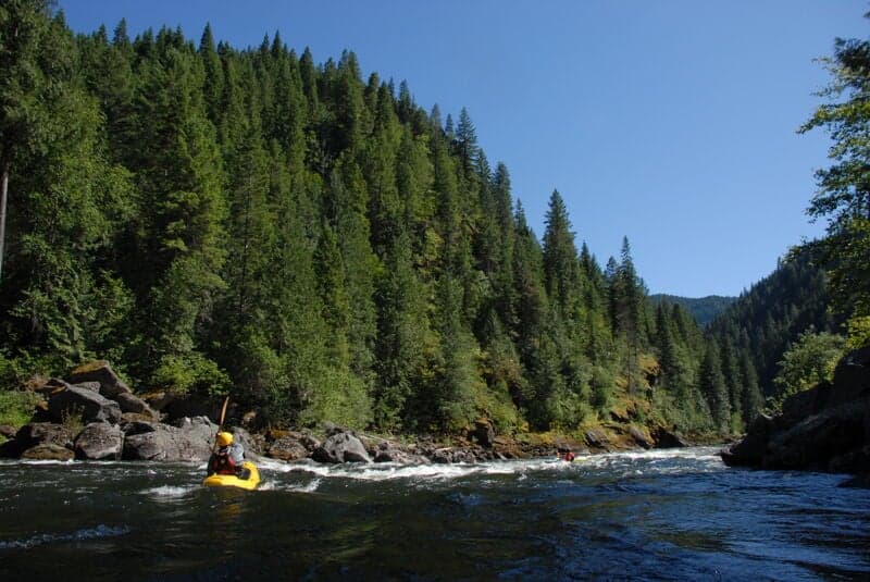 Termination Rapid