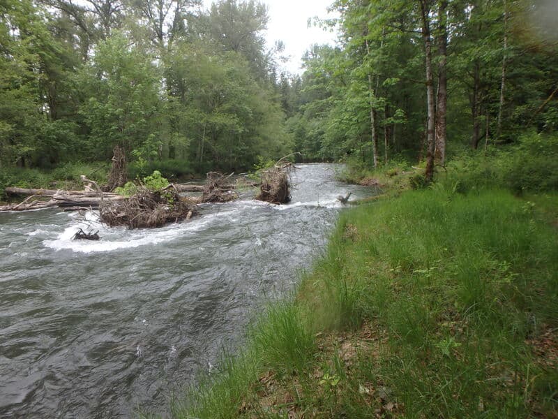 Landsburg to Lake at high flow