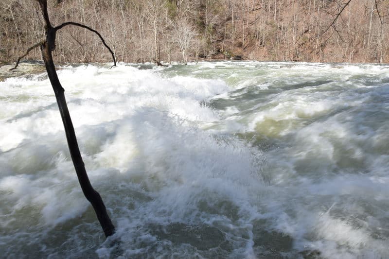 High flow on the Dries