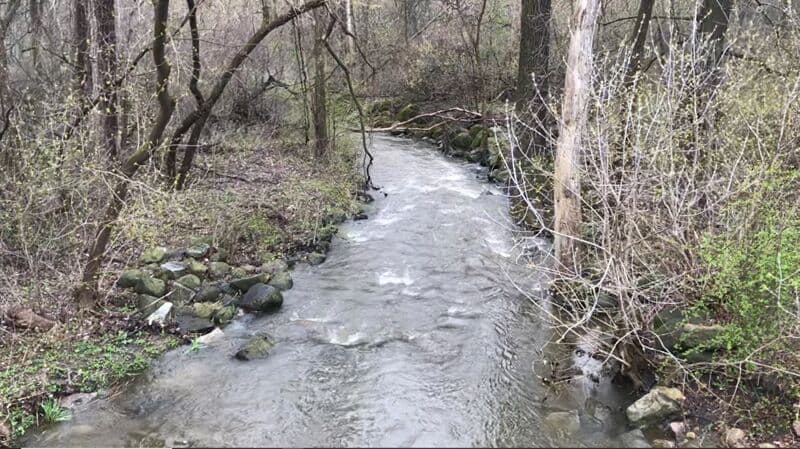 Whitnall Park Triangle