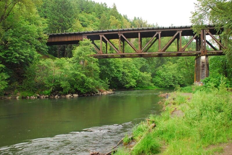 Nisqually Watershed Council Access Site Tour
