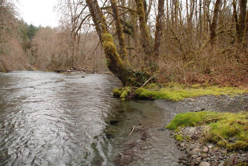 Downstream of Six Mile Bridge Take-Out