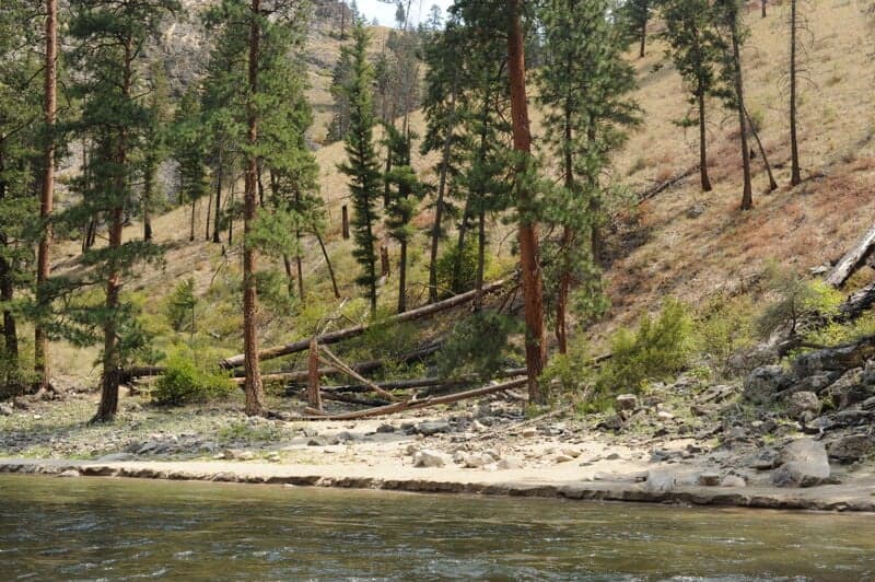 Big Pine Camp (RR)
