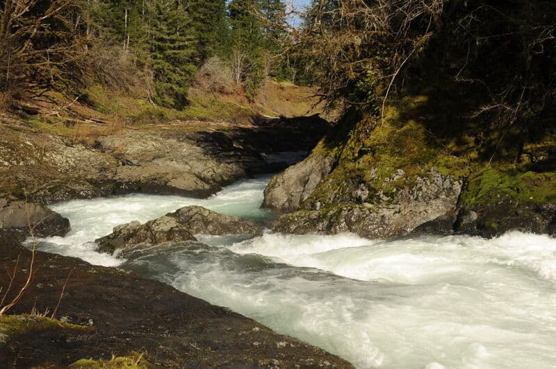 Early Spring on the Chehalis - 1020 cfs