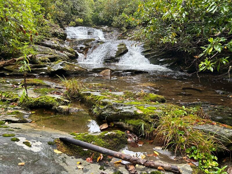 Tanasee Creek Falls