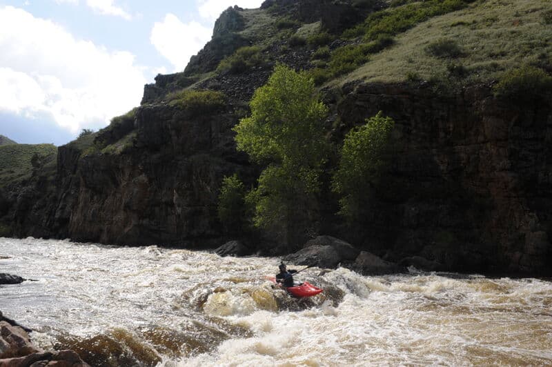 Three Way Rapid