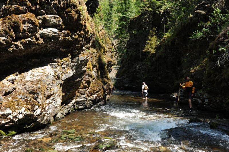 Early Summer Trip Through Skookum Canyon