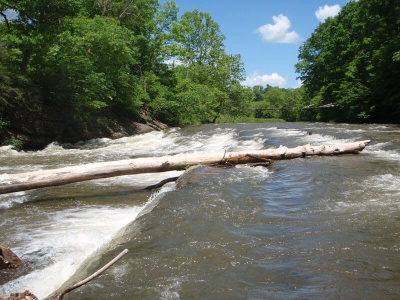 Falls Hill Rapid