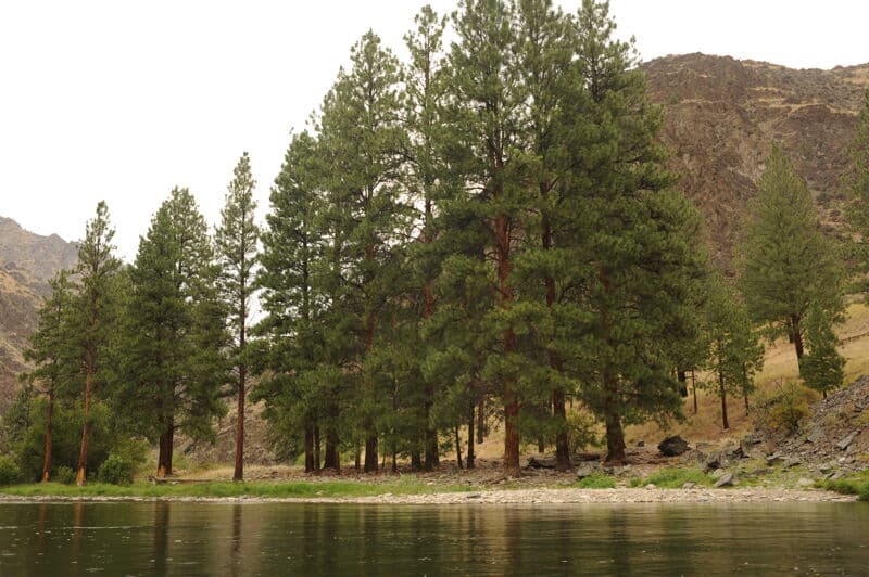 Woolard Creek Camp (RR)