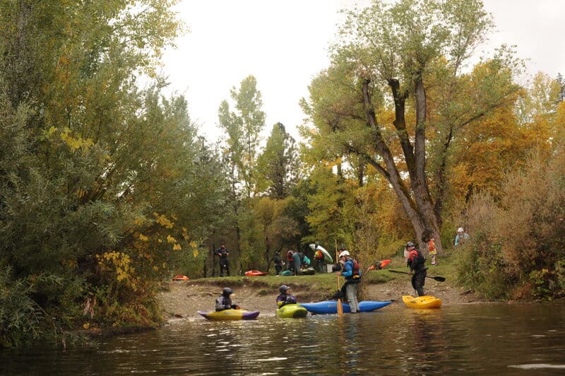 Camp Lotus
