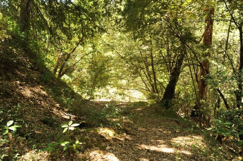 Reynolds Creek Access