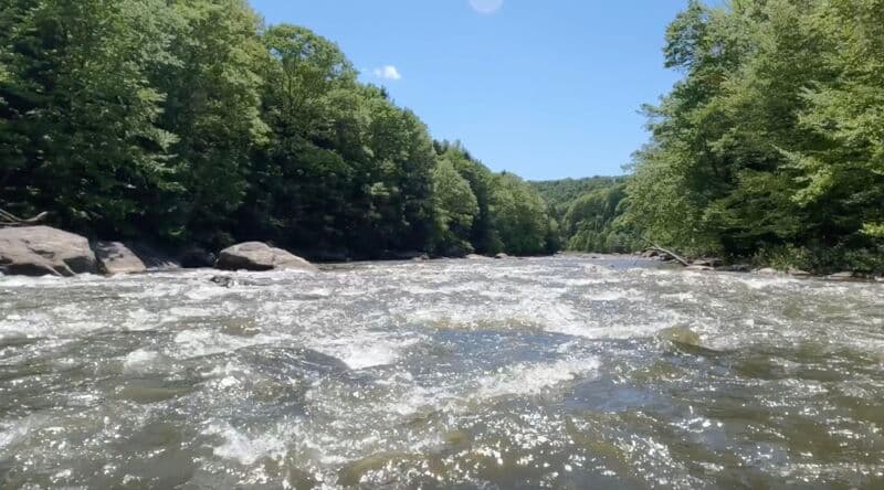 Olympia Rapids