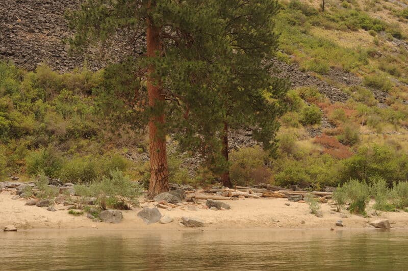 Wilson Creek Camp (RR)