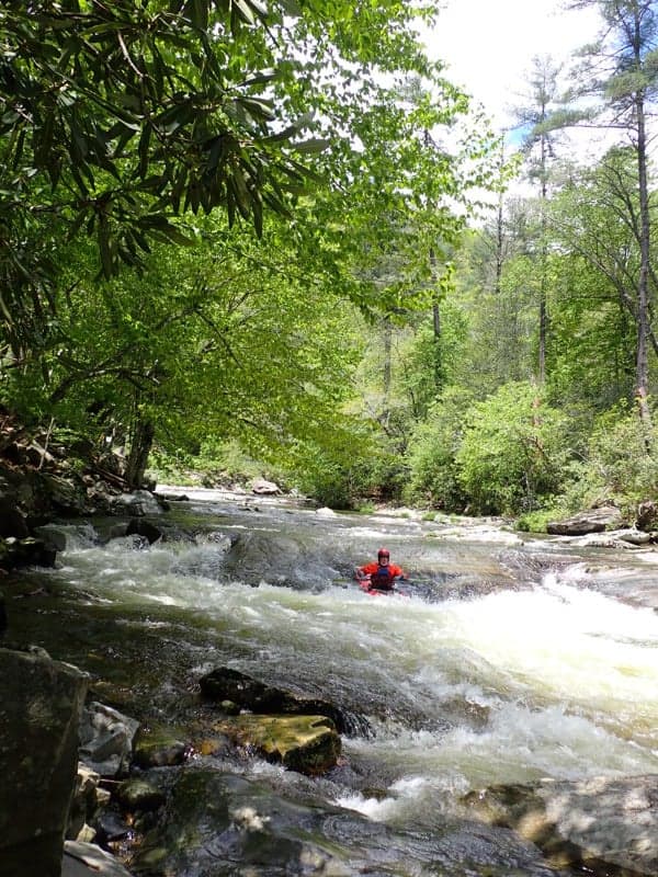 Raven Fork 